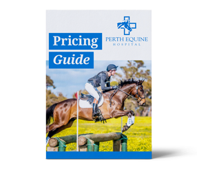 Perth-Equine-Pricing-Guide-sml image