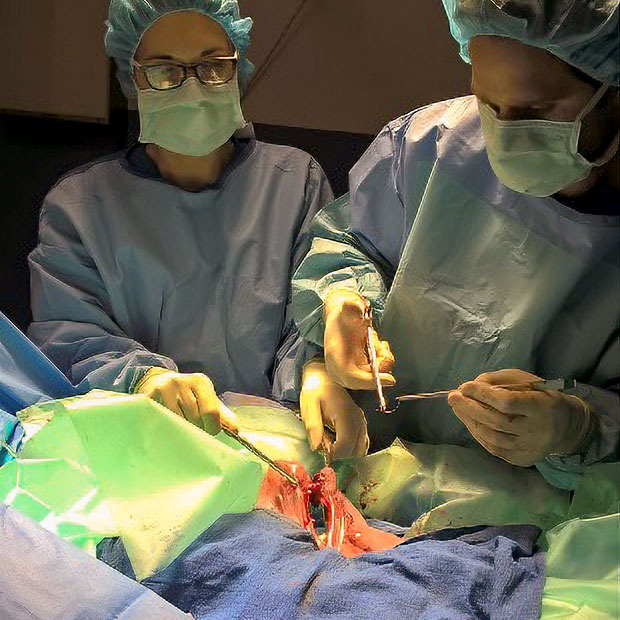 perth-equine-hospital-surgery-image image