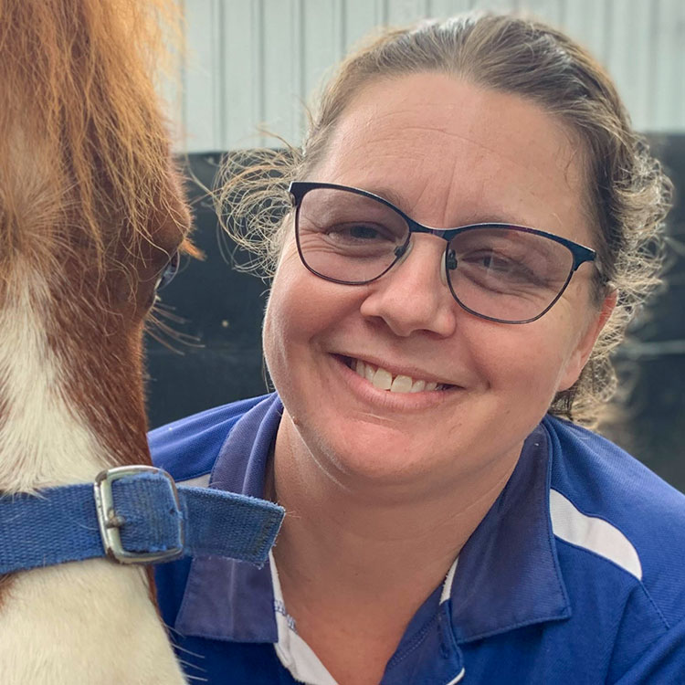 perth-equine-sarah-todd image
