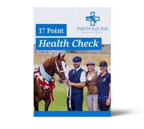 Perth-Equine-Health-Check-sml image